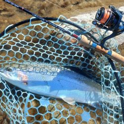 何とか釣れたが苦戦 ～天竜川ルアーフライ専用区～